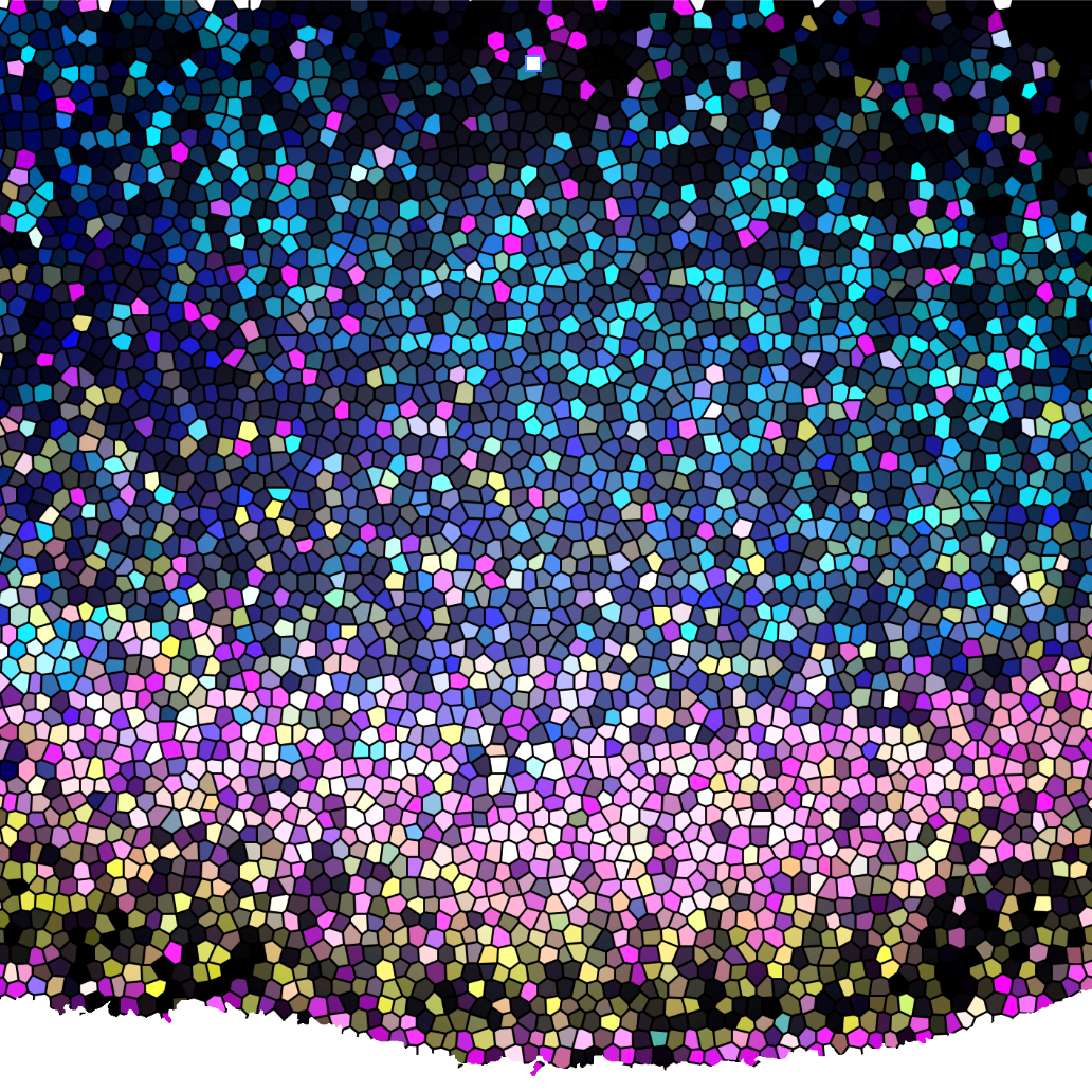 ‘RNA-microscoop’ brengt tumor in 3D in kaart